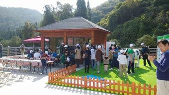 吃瓜群众搭楼,揭秘娱乐圈背后的那些事儿