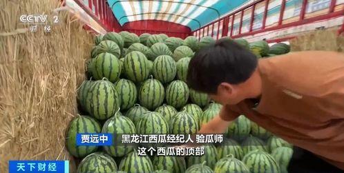 最新吃瓜缅北,最新吃瓜事件背后的真相与内幕